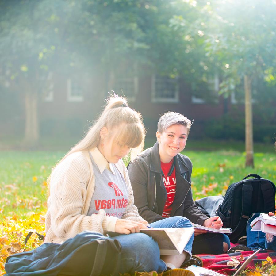 Students sitting and studying out on the lawn